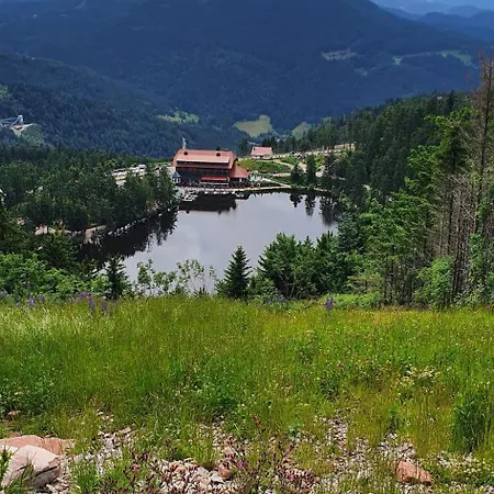 Διαμέρισμα Haus Ludwig *