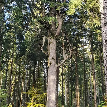 Διαμέρισμα Haus Ludwig