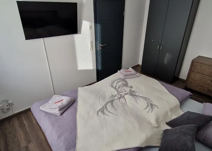 Haus Ludwig Apartment