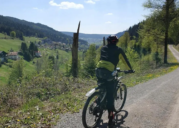 Haus Ludwig Apartment *