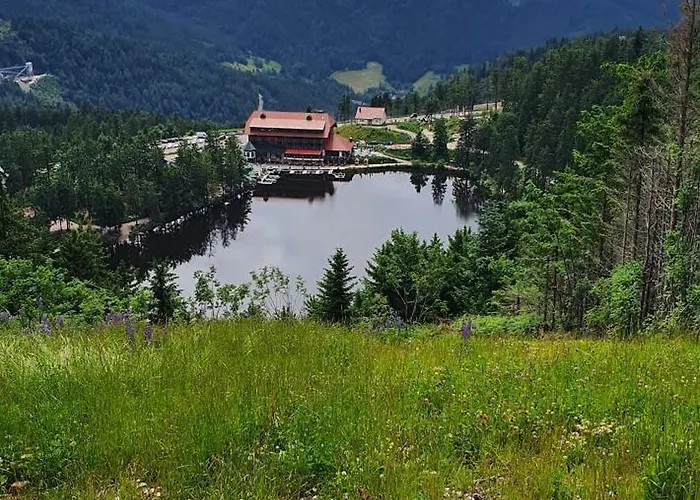 Apartment Haus Ludwig *