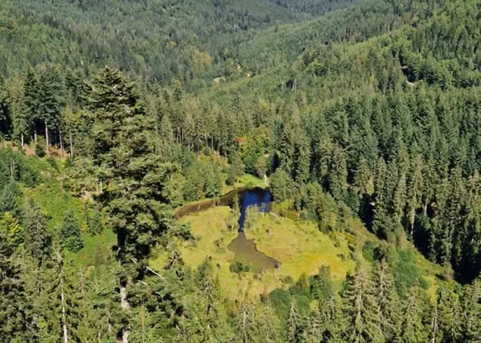 Haus Ludwig * Freudenstadt